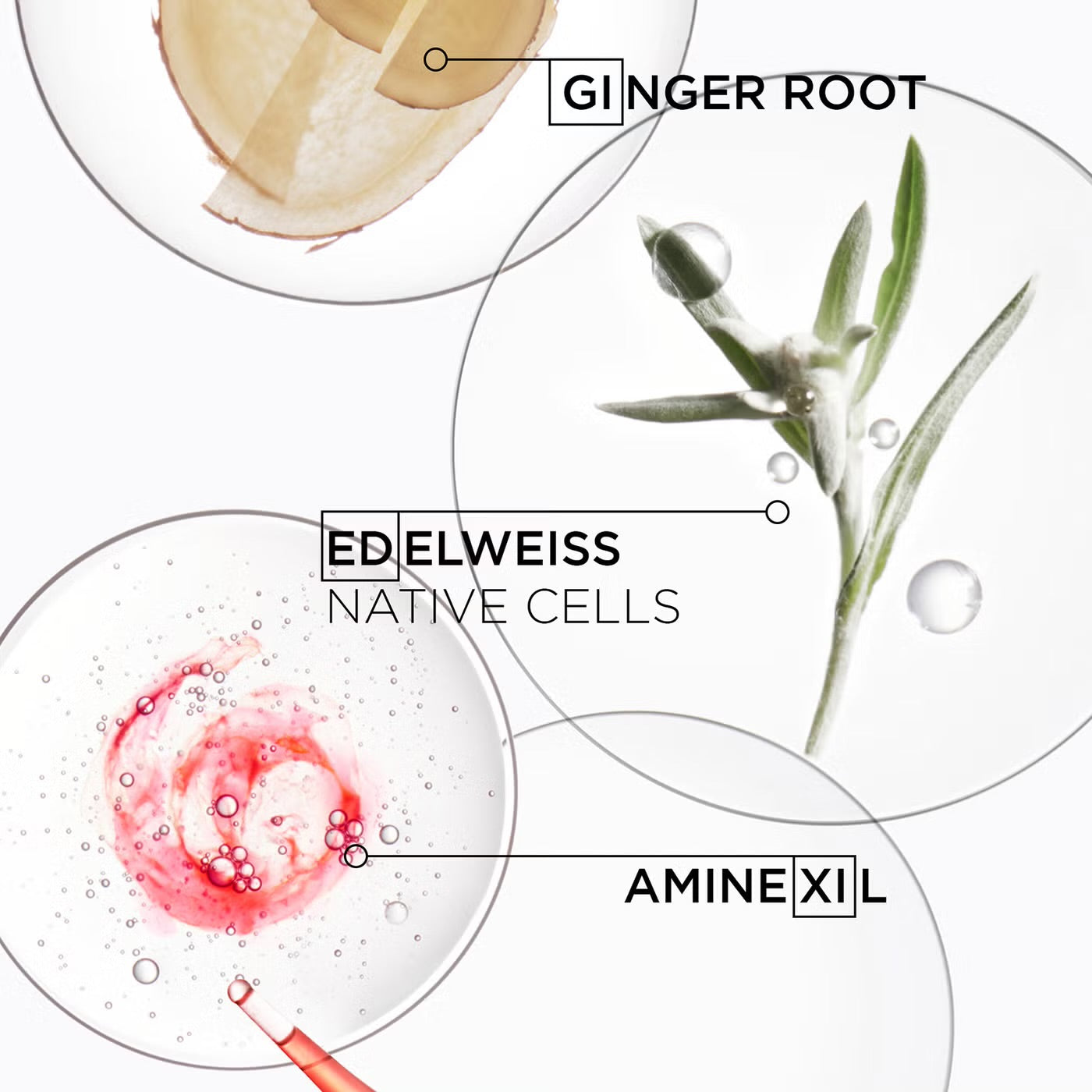 Kerastase Genesis
